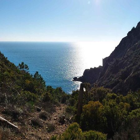 Il Cuore Di Moneglia - Moneglia Apartments Luaran gambar