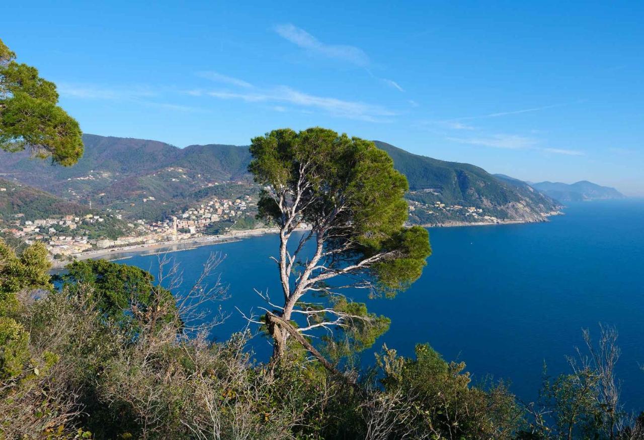 Il Cuore Di Moneglia - Moneglia Apartments Luaran gambar